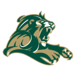 Point Loma Nazarene Sea Lions