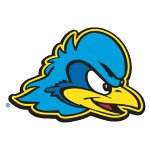 Delaware Fightin Blue Hens